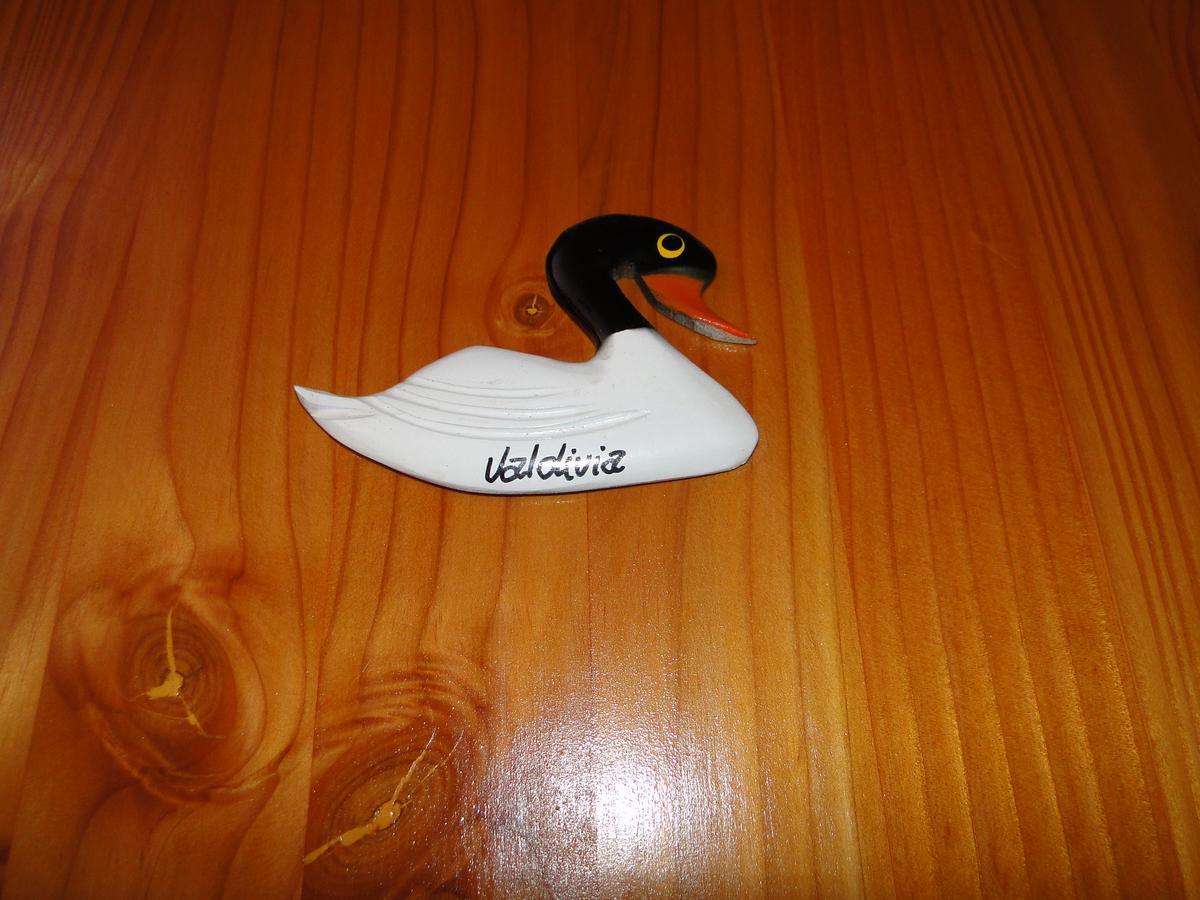 Cabanas Cisne Cuello Negro Appartamento Valdivia Esterno foto